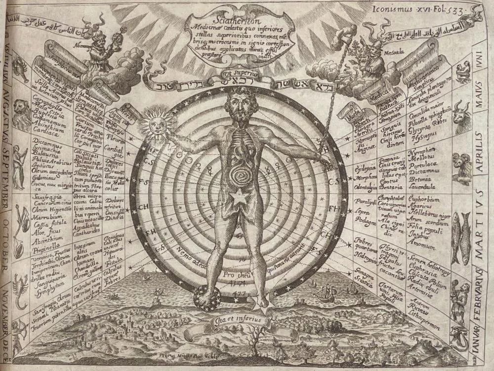 kircher2.jpeg