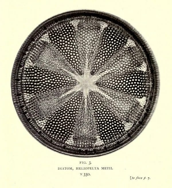 14803701720_8eb9cee8de_o.jpg