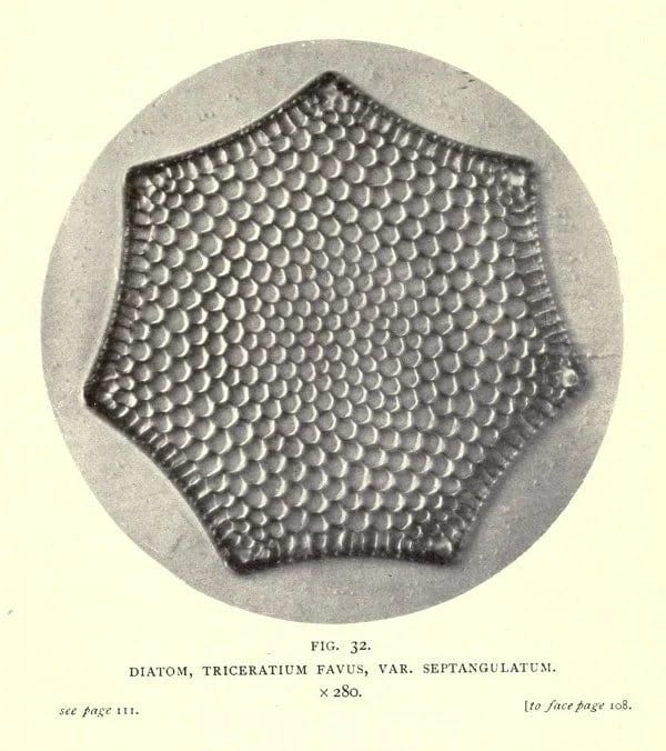 14803703930_8013d19f06_o.jpg