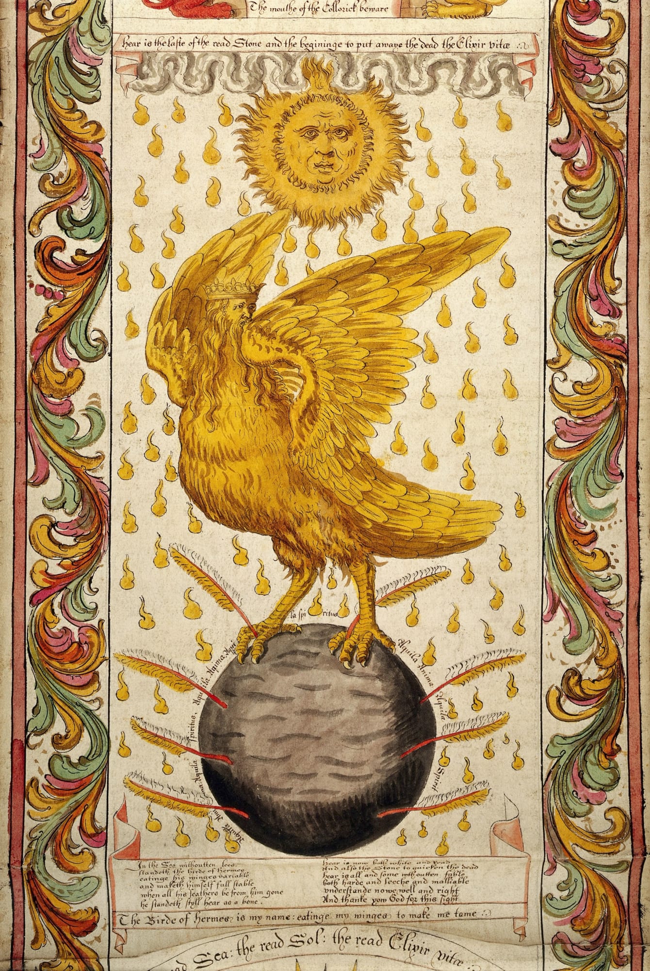 WMS_693,_Ripley_Scroll,_Golden_winged_bird_Wellcome_L0031854.jpg